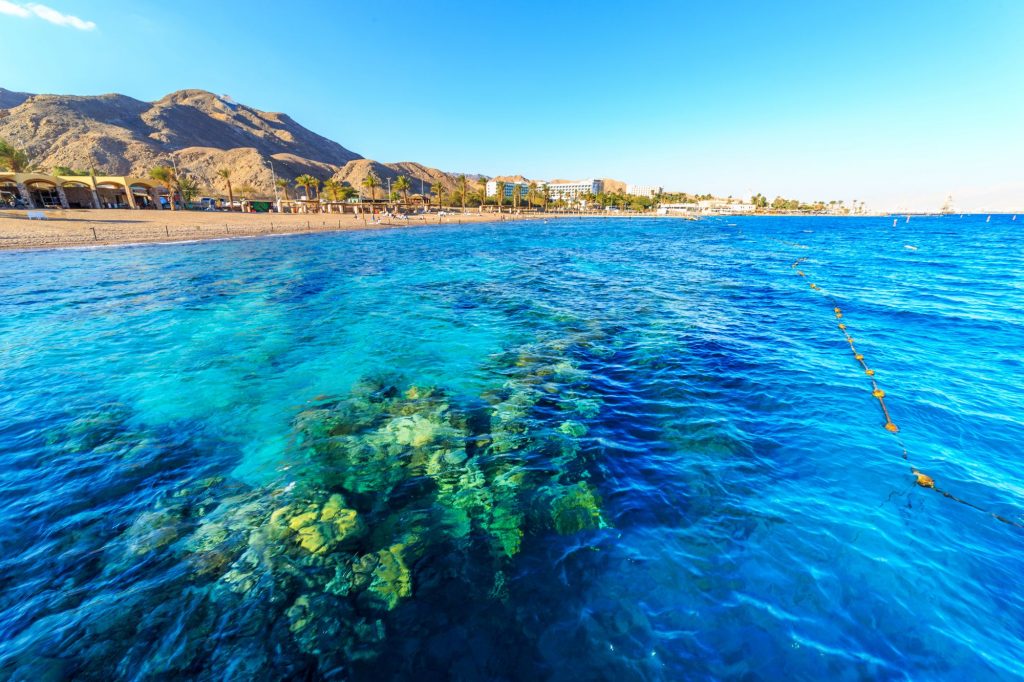 Coral-Beach-Nature-Reserve